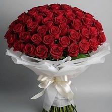 Букет 101 Красная роза Блэк Мэджик в Иссе