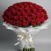Букет 101 Красная роза Блэк Мэджик в Иссе