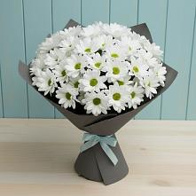 Букет цветов из:  Хризантемы #REPLACE_PRED# Иссе