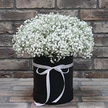 Цветочная композиция из Гипсофила в шляпной коробке в Иссе