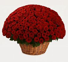 Премиум букет из: Розы в Иссе